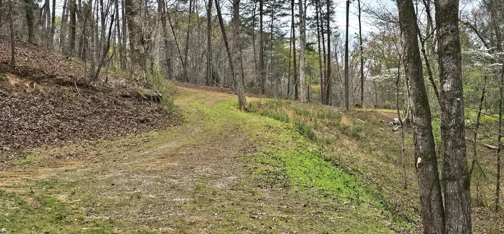 6870 Tennessee 360 Tellico Plains TN 37385