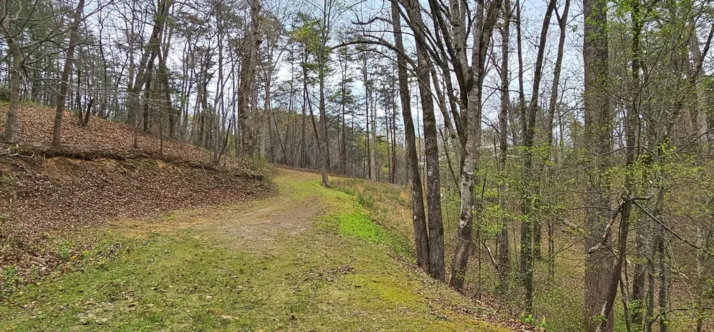6870 Tennessee 360 Tellico Plains TN 37385