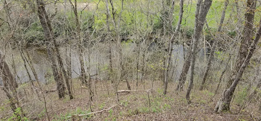 6870 Tennessee 360 Tellico Plains TN 37385