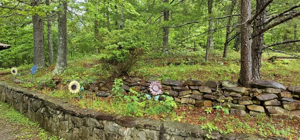 200 Peachtree Lane Tellico Plains TN 37385
