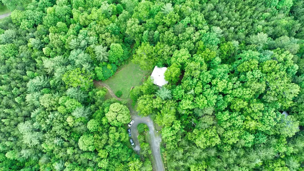 200 Peachtree Lane Tellico Plains TN 37385