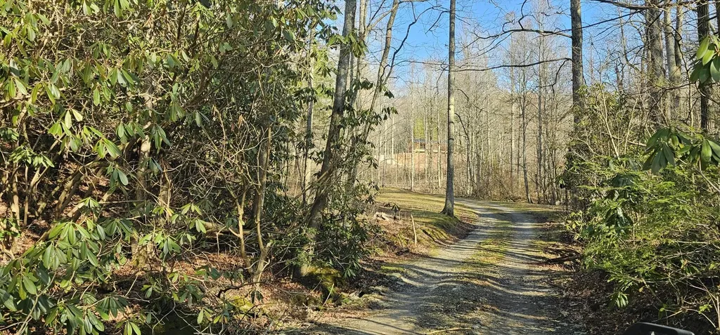 248 Lower Smithfield Road Tellico Plains TN 37385