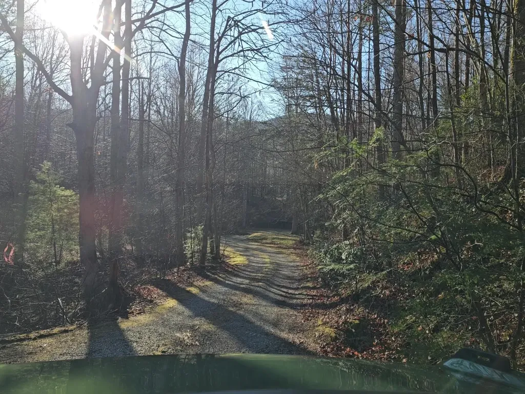 248 Lower Smithfield Road Tellico Plains TN 37385