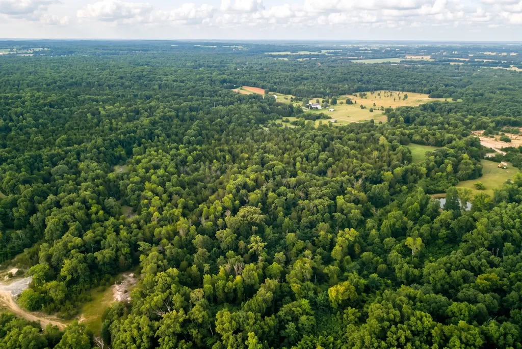 2099 Gentle Road Lewisburg TN 37091