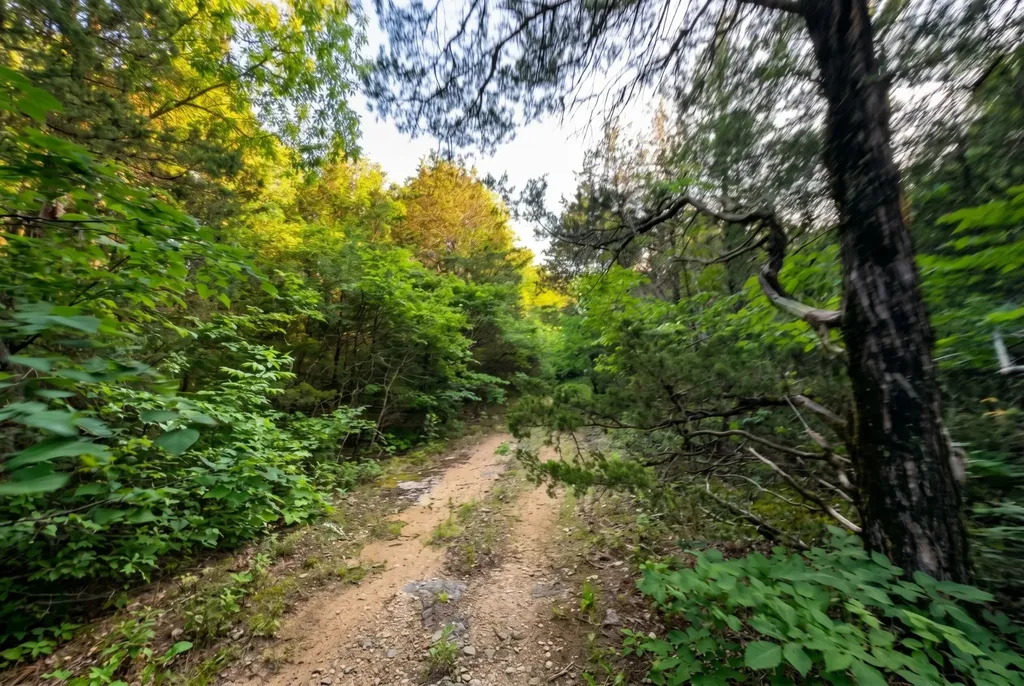 2099 Gentle Road Lewisburg TN 37091