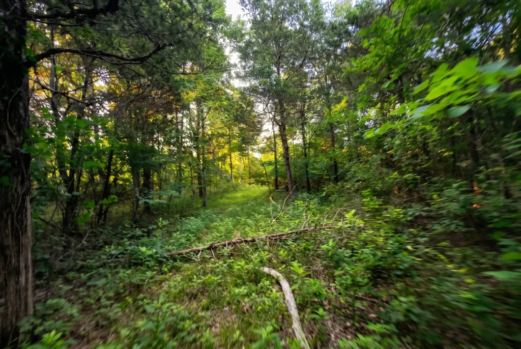 2099 Gentle Road Lewisburg TN 37091