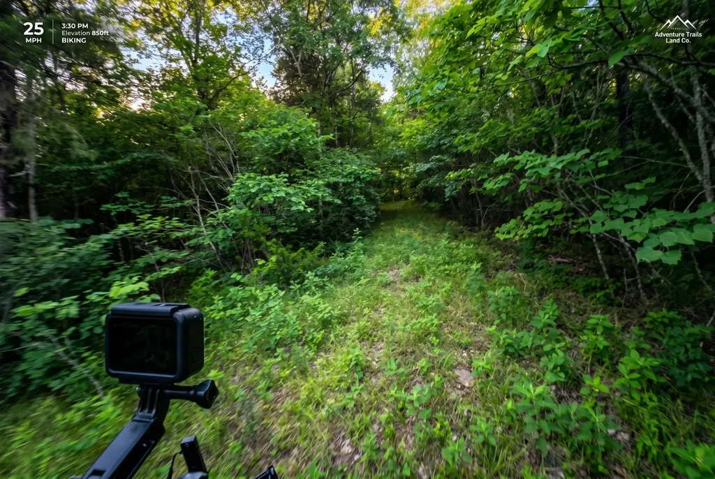 2099 Gentle Road Lewisburg TN 37091