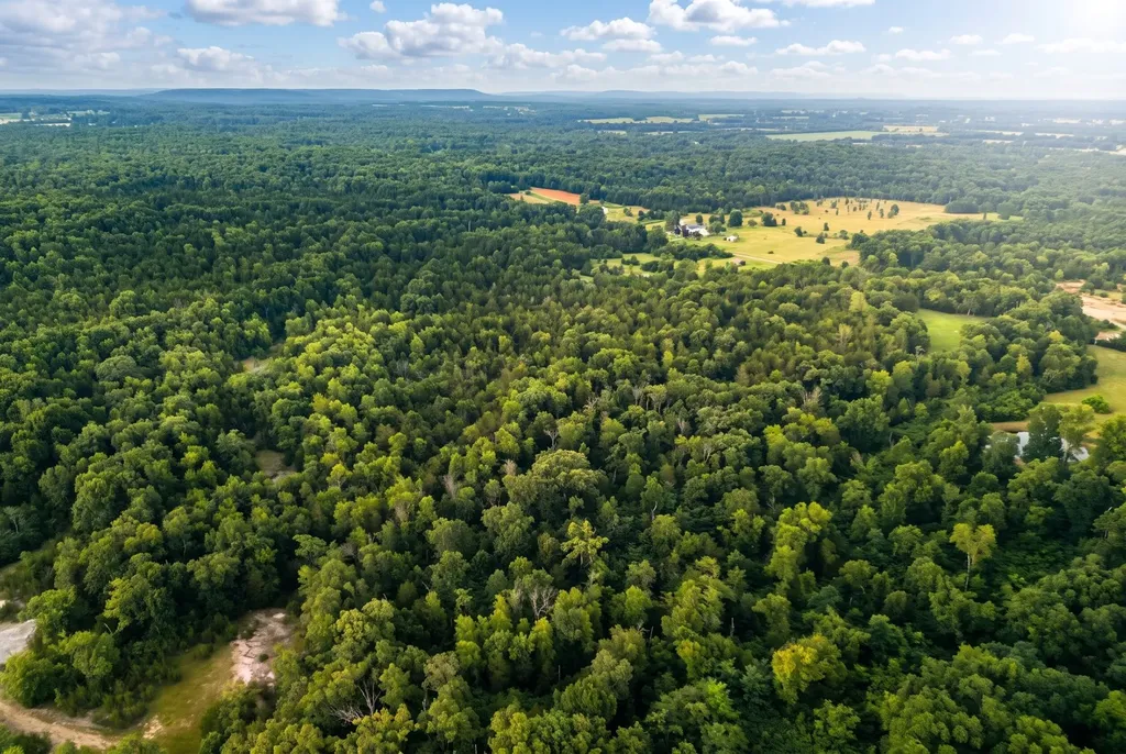 2099 Gentle Road Lewisburg TN 37091