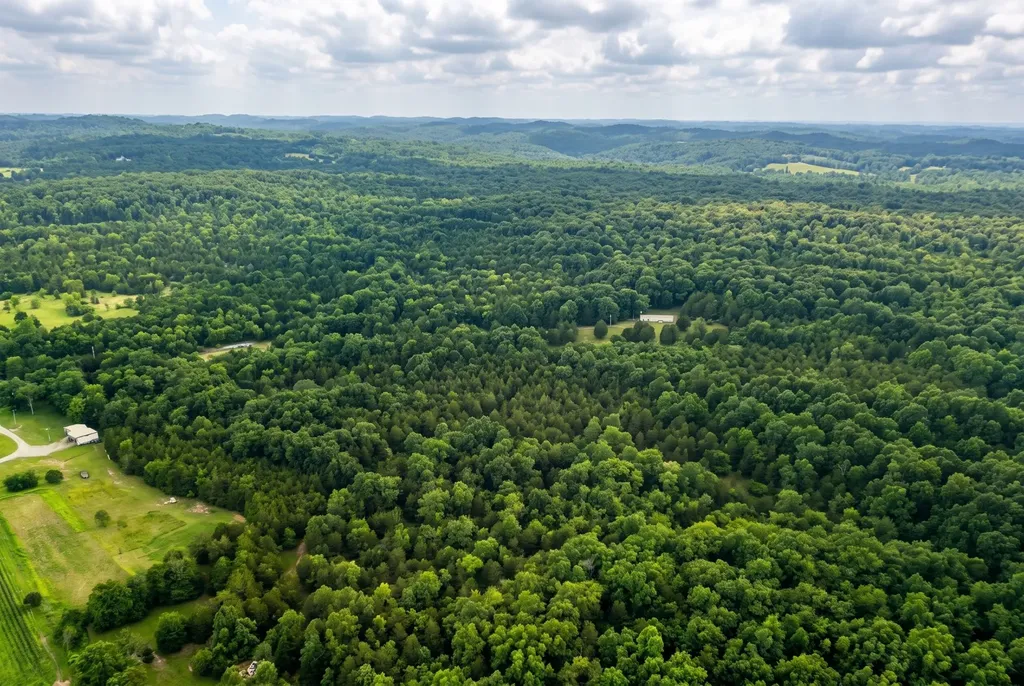 2099 Gentle Road Lewisburg TN 37091