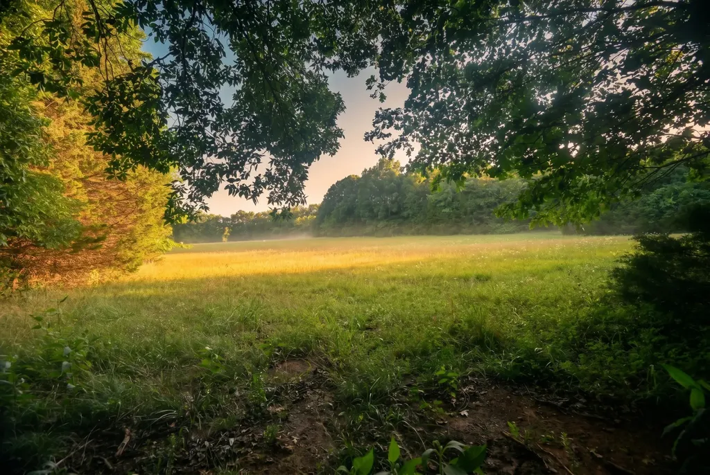2099 Gentle Road Lewisburg TN 37091