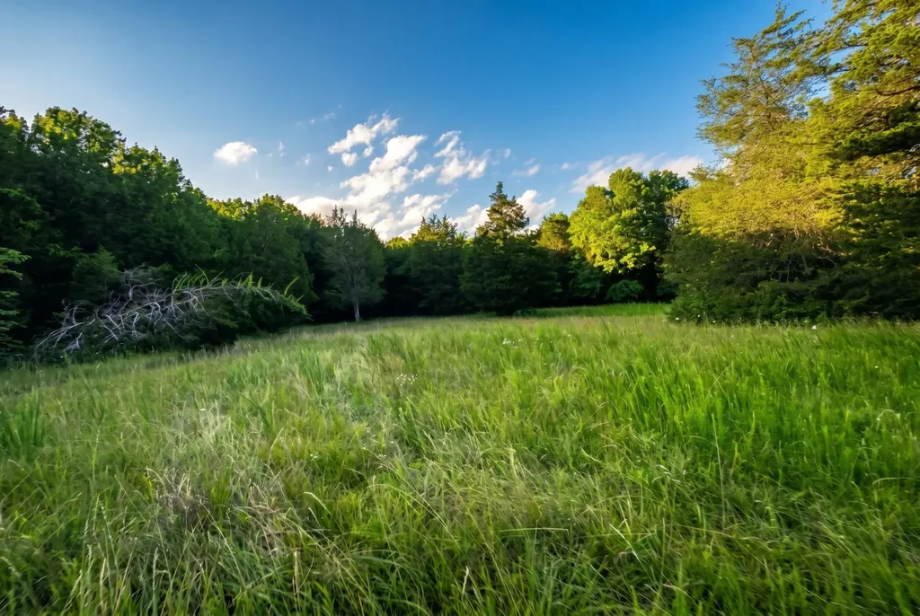 2099 Gentle Road Lewisburg TN 37091