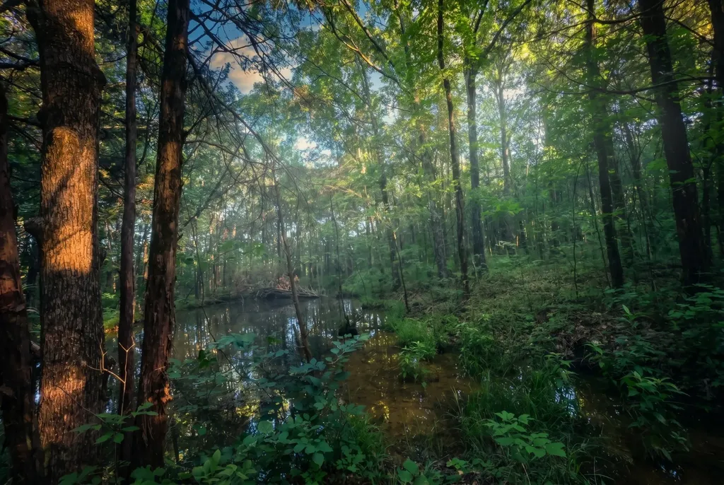 2099 Gentle Road Lewisburg TN 37091