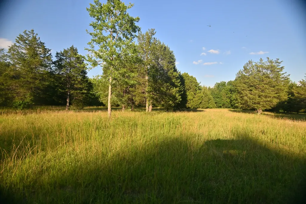 2099 Gentle Road Lewisburg TN 37091