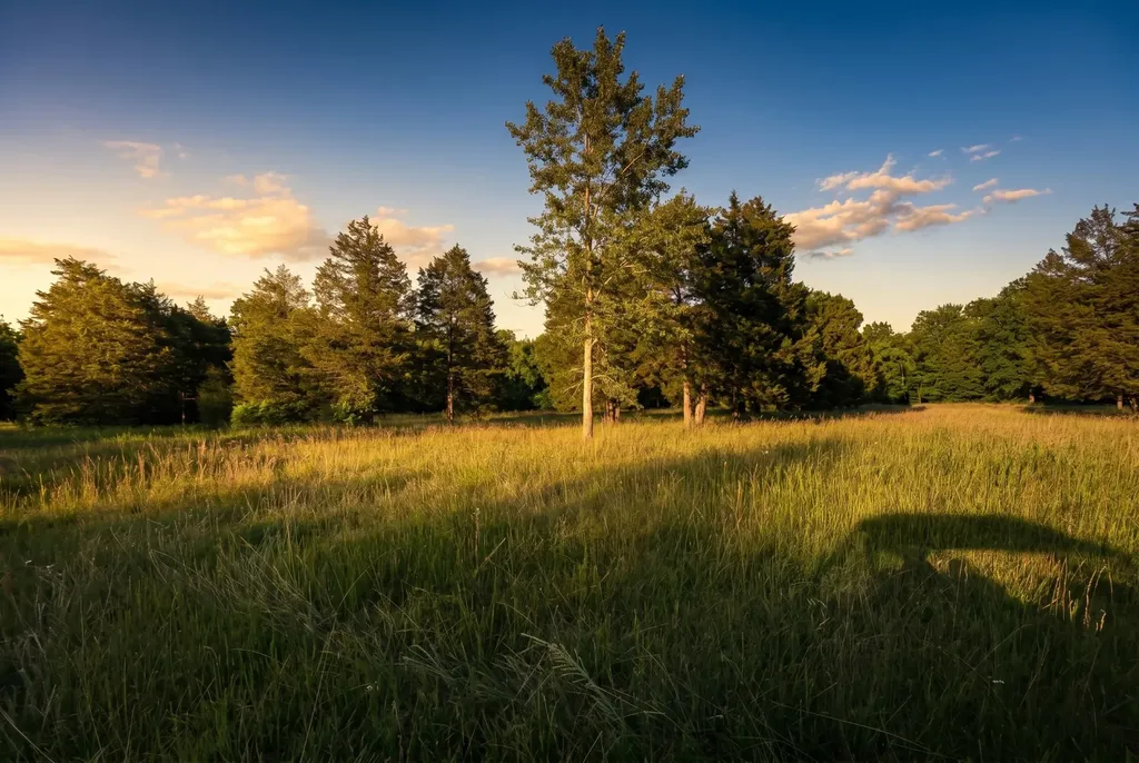 2099 Gentle Road Lewisburg TN 37091