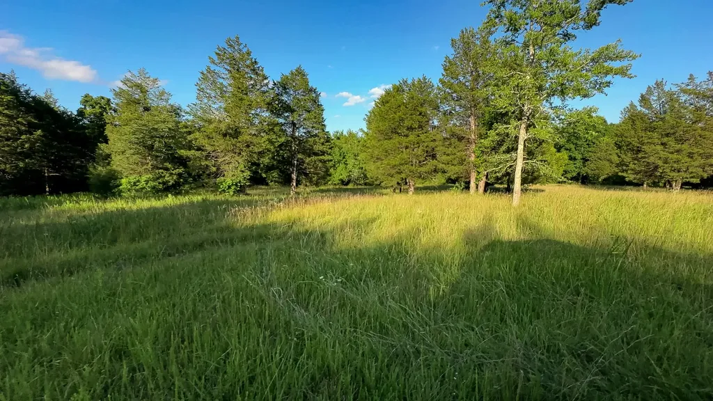 2099 Gentle Road Lewisburg TN 37091