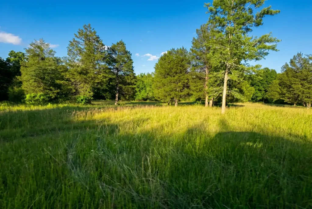 2099 Gentle Road Lewisburg TN 37091
