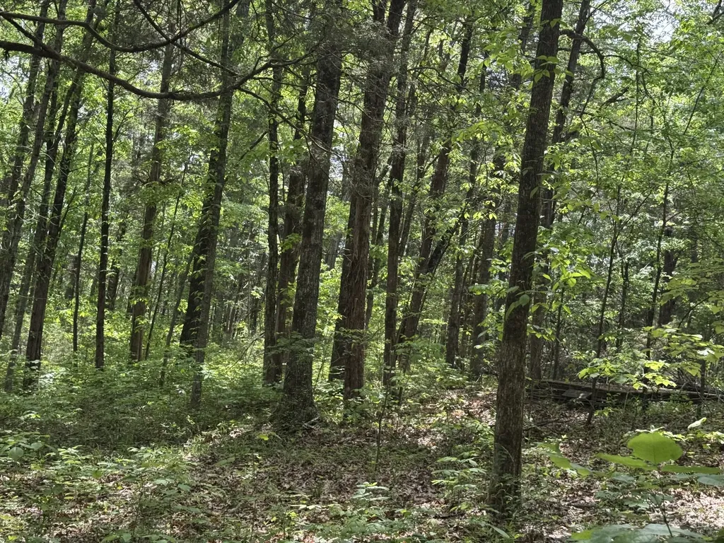 2099 Gentle Road Lewisburg TN 37091