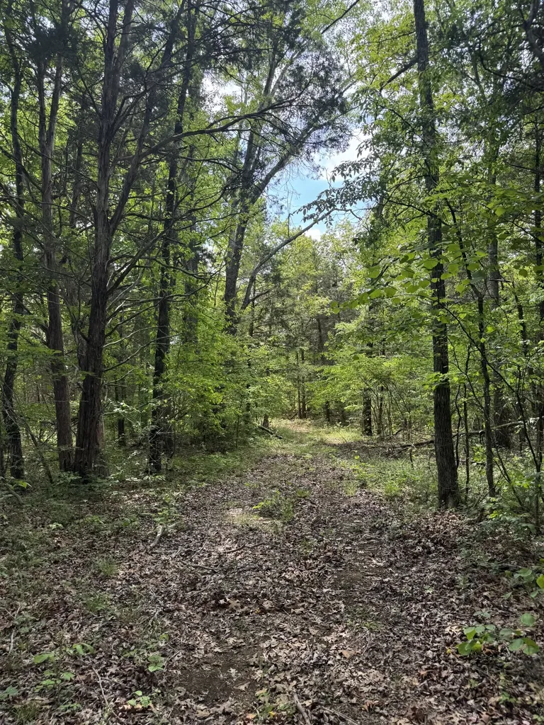 2099 Gentle Road Lewisburg TN 37091