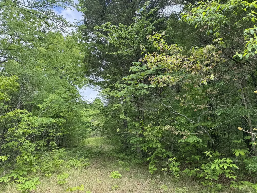 2099 Gentle Road Lewisburg TN 37091