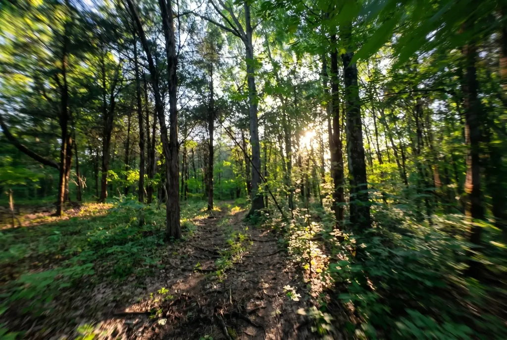 2099 Gentle Road Lewisburg TN 37091