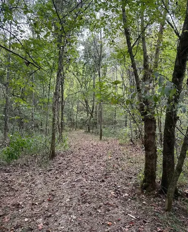 20 Cedar Bluff Road Lafayette TN 37083