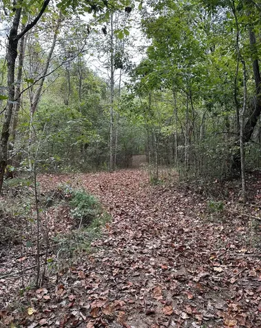 20 Cedar Bluff Road Lafayette TN 37083
