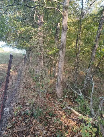 20 Cedar Bluff Road Lafayette TN 37083