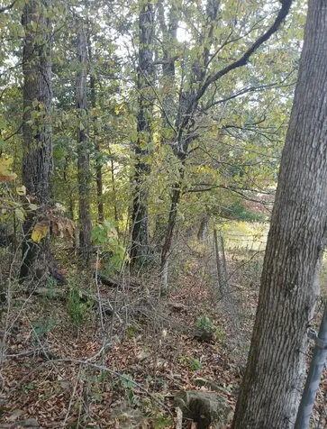 20 Cedar Bluff Road Lafayette TN 37083