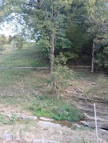 20 Cedar Bluff Road Lafayette TN 37083