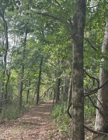 20 Cedar Bluff Road Lafayette TN 37083