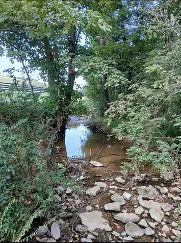10 Cedar Bluff Road Lafayette TN 37083