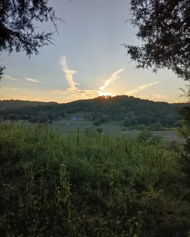 10 Cedar Bluff Road Lafayette TN 37083
