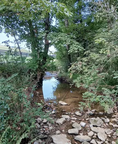 10 Cedar Bluff Road Lafayette TN 37083