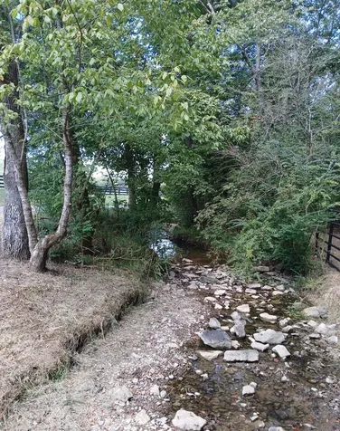 10 Cedar Bluff Road Lafayette TN 37083