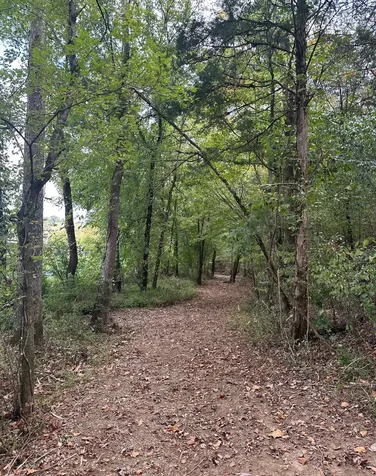 10 Cedar Bluff Road Lafayette TN 37083