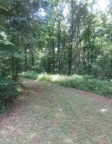 10 Cedar Bluff Road Lafayette TN 37083