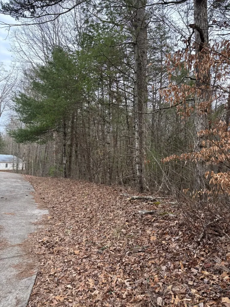 0 Maple Springs Road Tellico Plains TN 37385