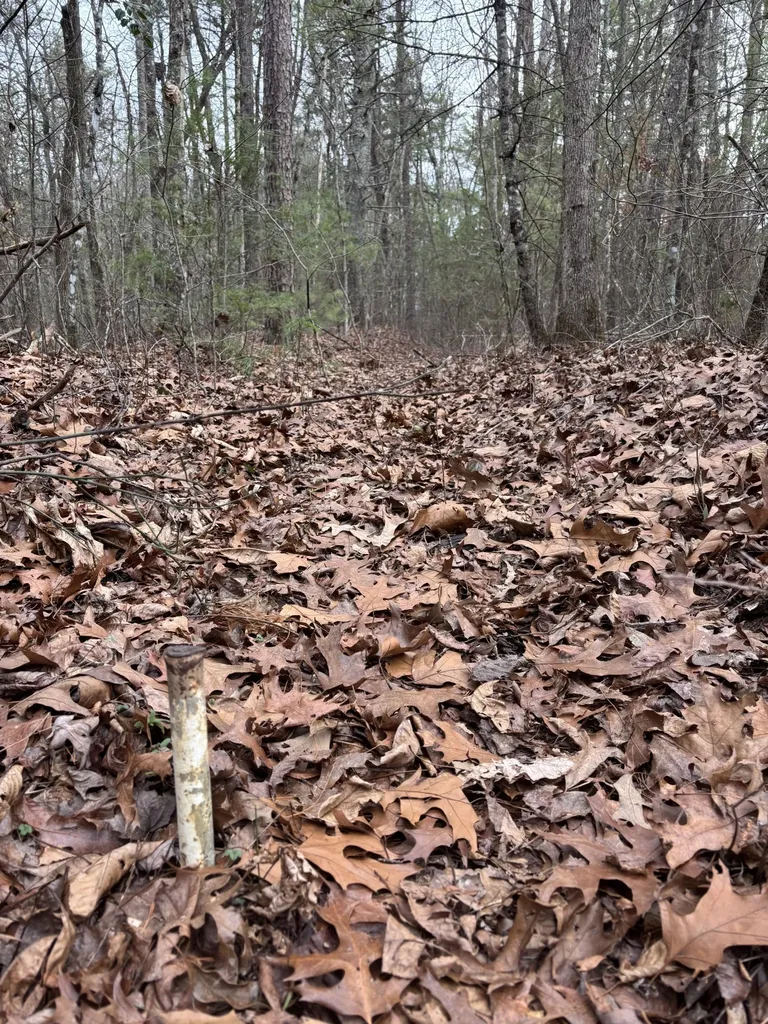 0 Maple Springs Road Tellico Plains TN 37385