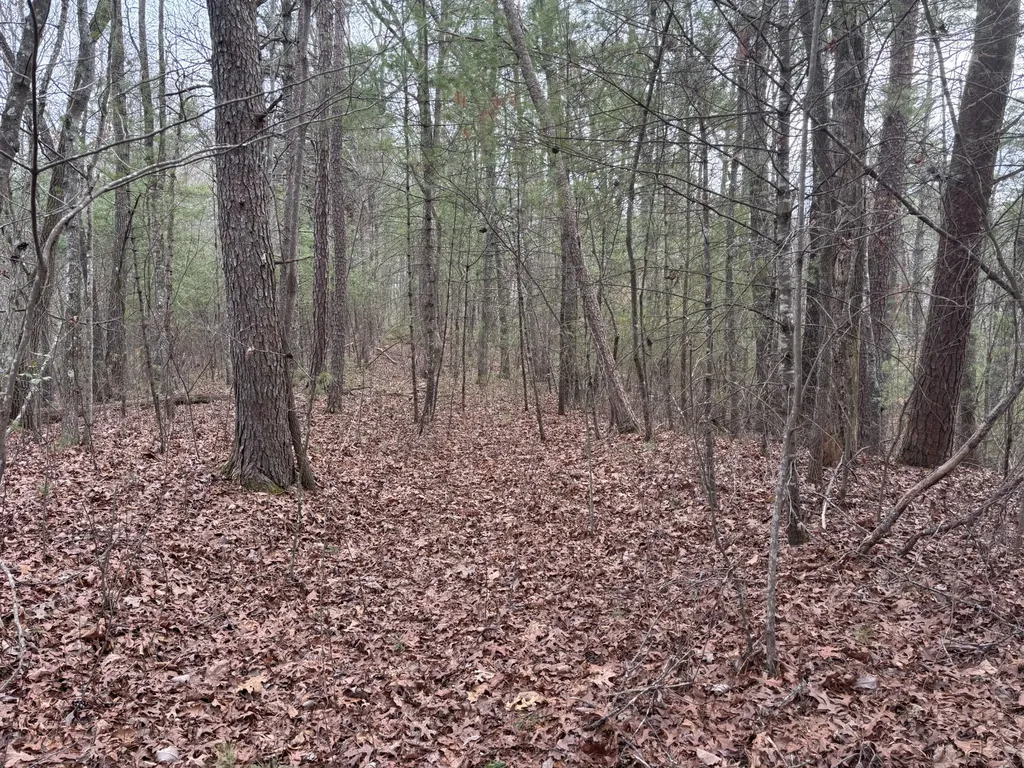 0 Maple Springs Road Tellico Plains TN 37385