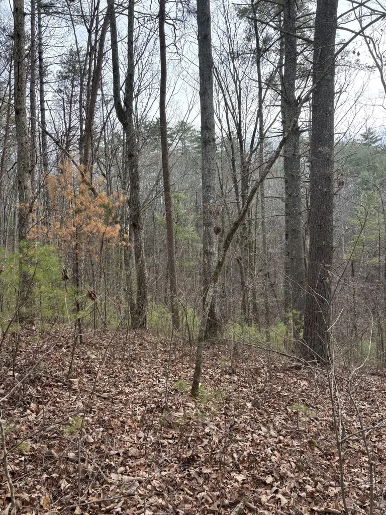 0 Maple Springs Road Tellico Plains TN 37385