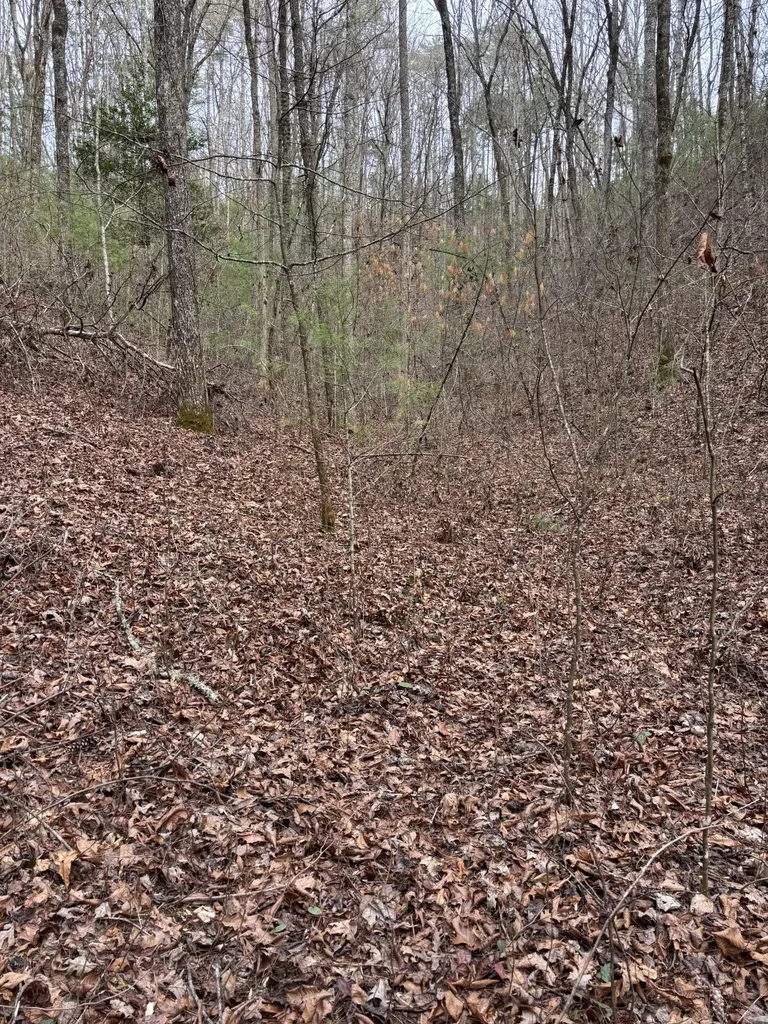 0 Maple Springs Road Tellico Plains TN 37385