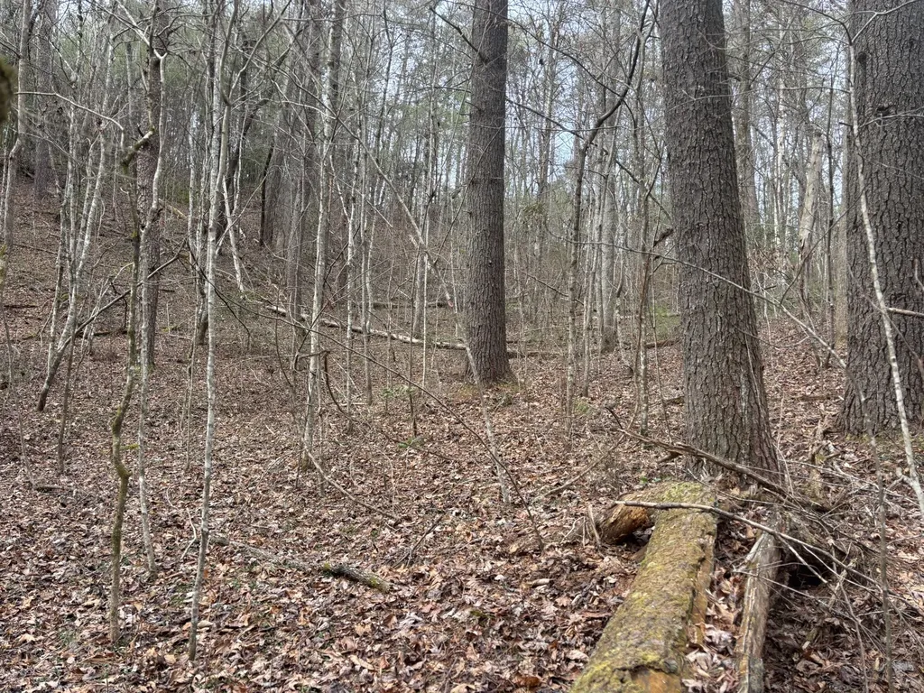 0 Maple Springs Road Tellico Plains TN 37385