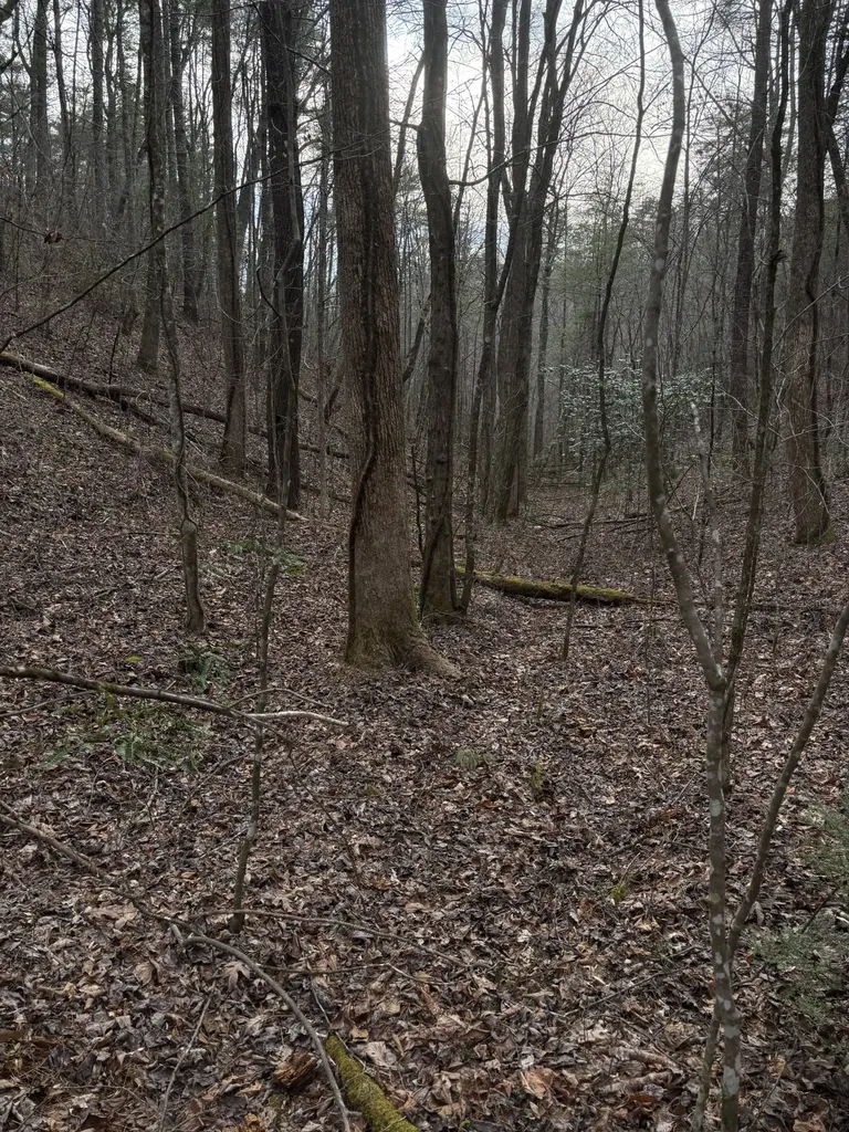 0 Maple Springs Road Tellico Plains TN 37385