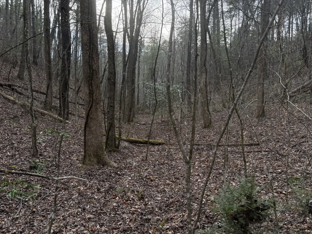 0 Maple Springs Road Tellico Plains TN 37385
