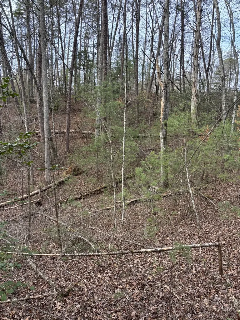 0 Maple Springs Road Tellico Plains TN 37385