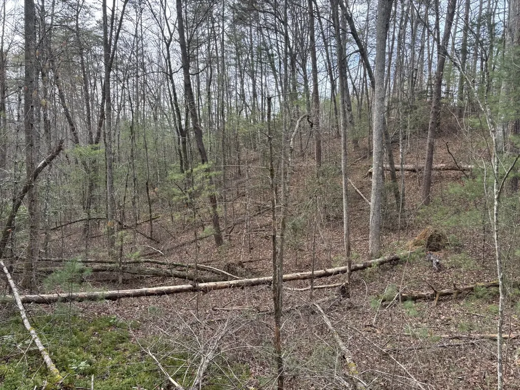 0 Maple Springs Road Tellico Plains TN 37385
