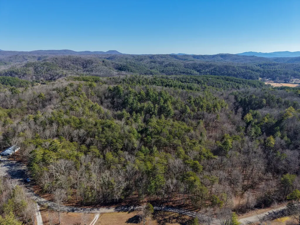 0 Maple Springs Road Tellico Plains TN 37385