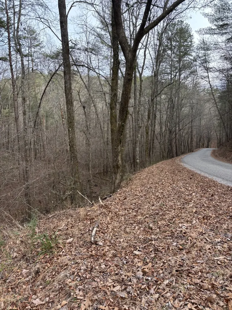 0 Maple Springs Road Tellico Plains TN 37385