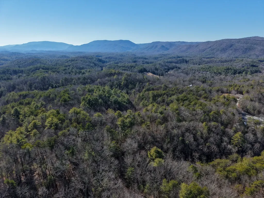 0 Maple Springs Road Tellico Plains TN 37385