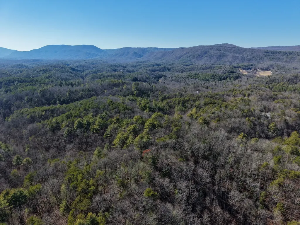 0 Maple Springs Road Tellico Plains TN 37385